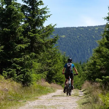 Nocleg ze śniadaniem Pod Janowcem