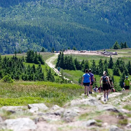 Pod Janowcem Sport - Rest & לינה וארוחת בוקר 3*