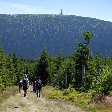 Pod Janowcem Sport - Rest & לינה וארוחת בוקר 3*