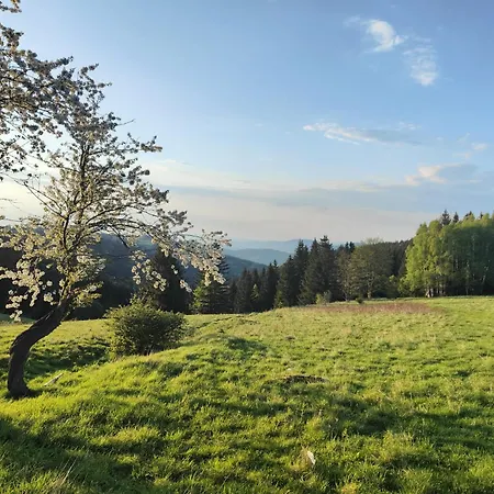 Nocleg ze śniadaniem Pod Janowcem Stronie Śląskie