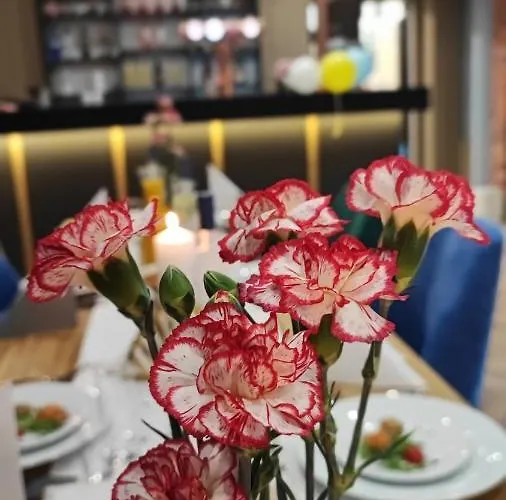 Pod Janowcem Sport - Rest & 3* Stronie Śląskie