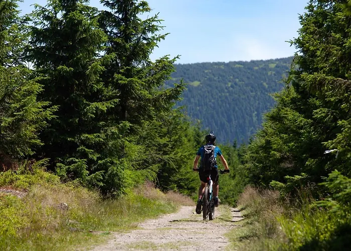 Nocleg ze śniadaniem Pod Janowcem