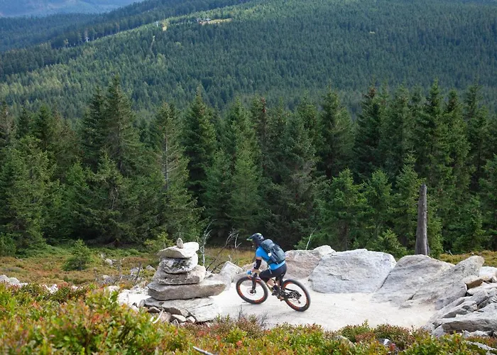 Pod Janowcem Sport - Rest & 3*