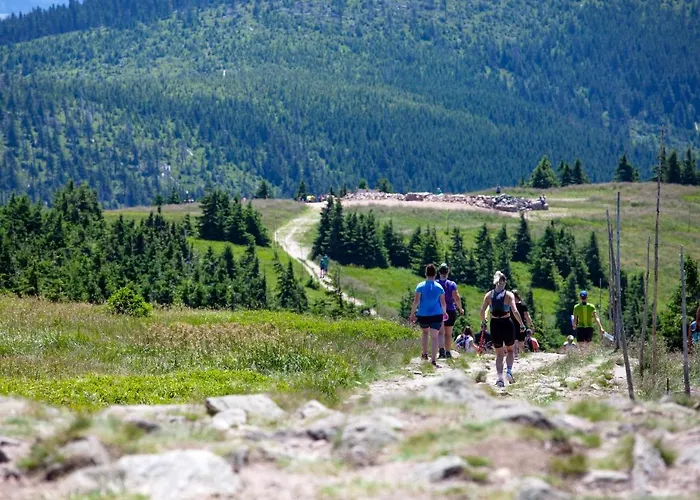 Pod Janowcem Sport - Rest & 住宿加早餐酒店 3*