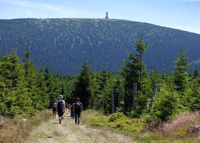 Pod Janowcem Sport - Rest & 住宿加早餐酒店 3*