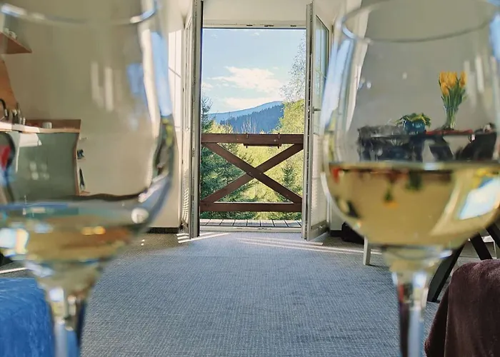 住宿加早餐酒店 Pod Janowcem Sport - Rest &