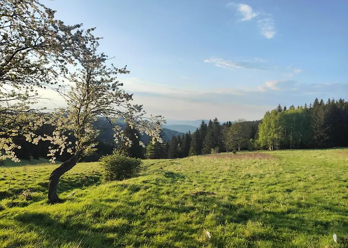 住宿加早餐酒店 Pod Janowcem Sport - Rest & Stronie Śląskie